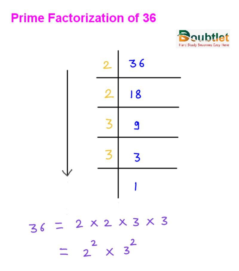 Prime Factorization chart