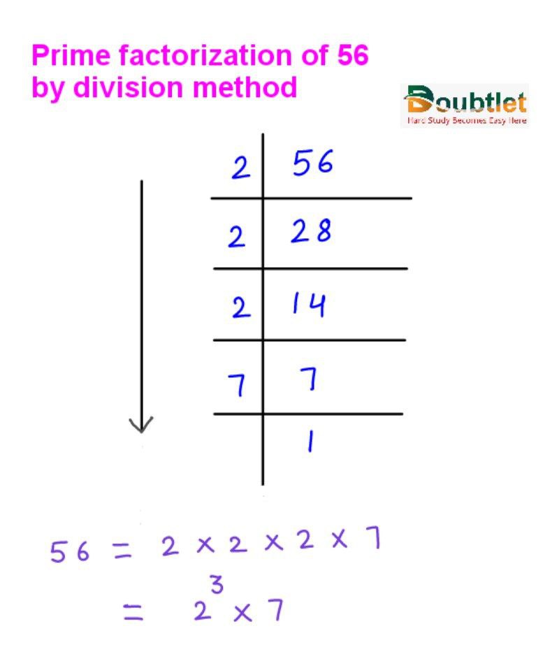 Prime Factorization of 56 by division method