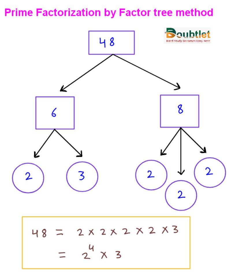 Prime Factorization of 48 by factor tree method