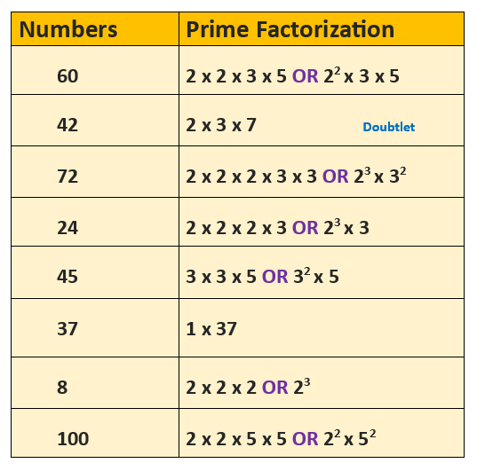 Prime Factorization chart