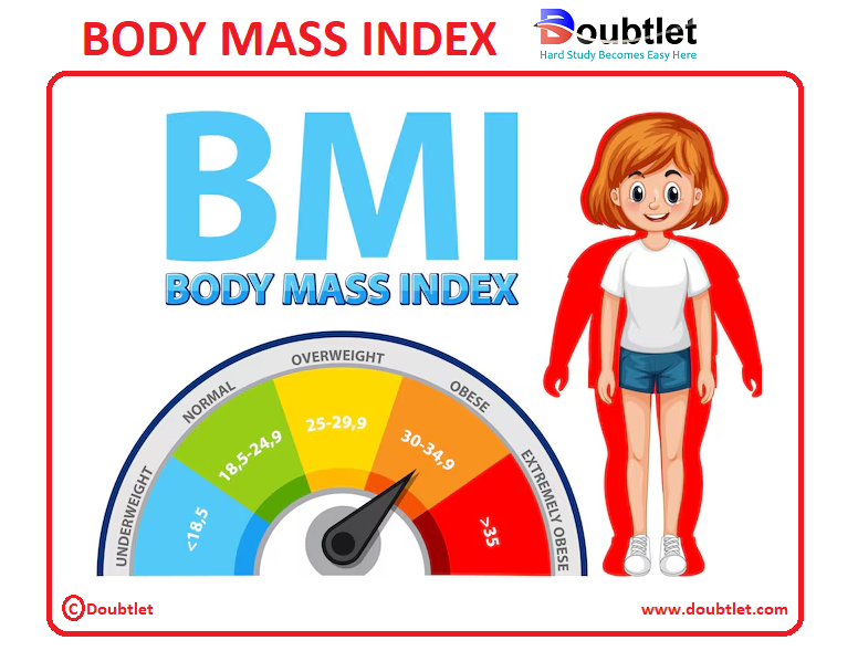 body-mass-index