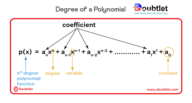 degree-of-polynomial-function